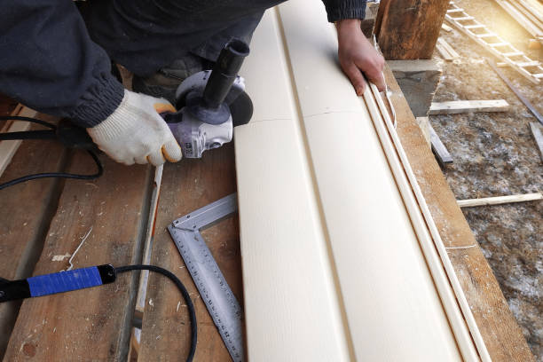 Best Siding Removal and Disposal  in Buchanan, VA
